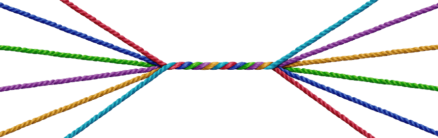 Photo of Pacific BOA Branch Leads.